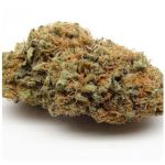 Шишки AK47  (Гидропоника, Бошка) VHQ в Алексине